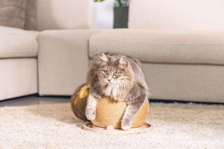 Designed by Lotte Kratz- und Spielball Mila